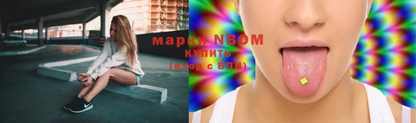 прущие крисы Елизово