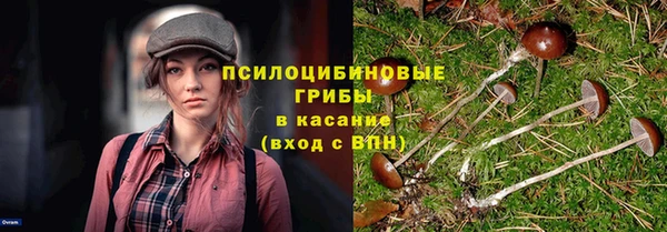прущие крисы Ельня