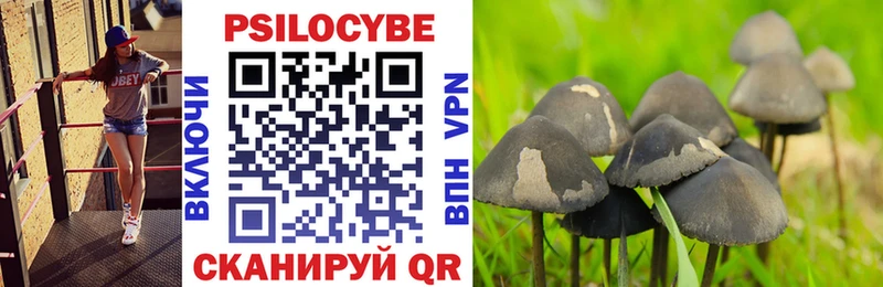 купить закладку  Алагир  Галлюциногенные грибы мицелий 